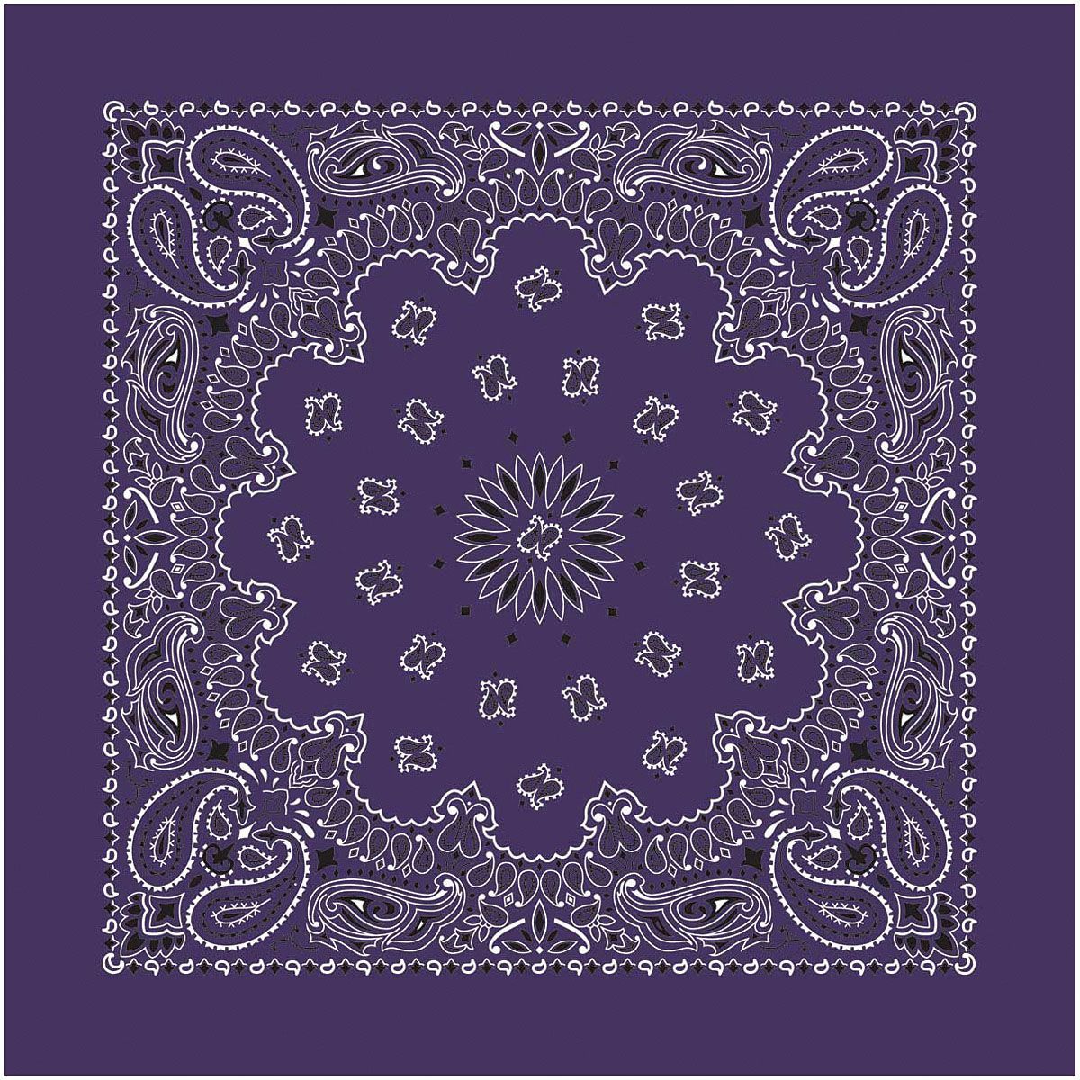 BANDANA PAISLEY PLUM
