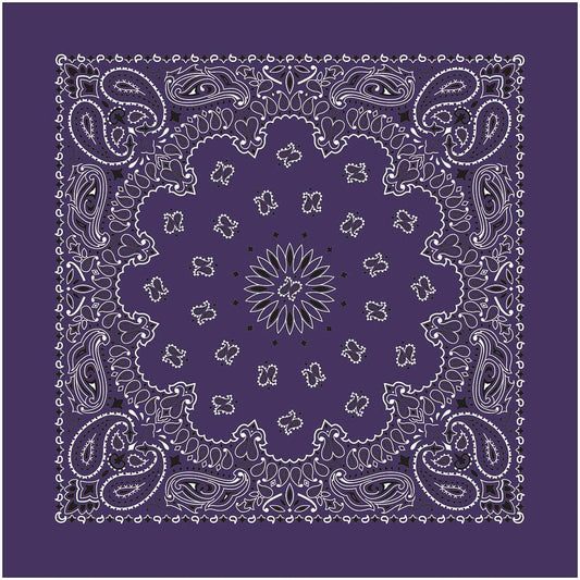 BANDANA PAISLEY PLUM