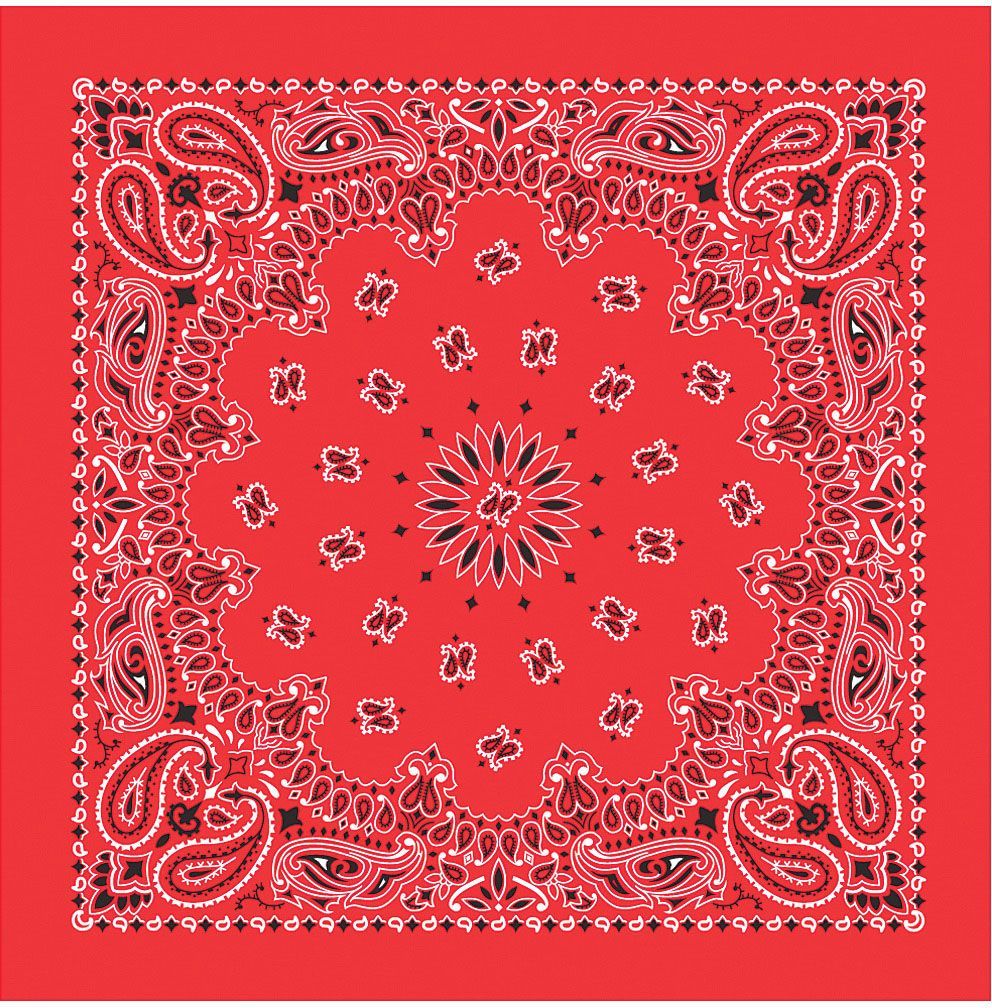 Paisley Bandana – Red | 22″ × 22″ Outdoor & Everyday Accessory