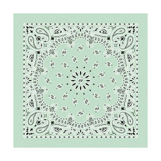 BANDANA PAISLEY MINT